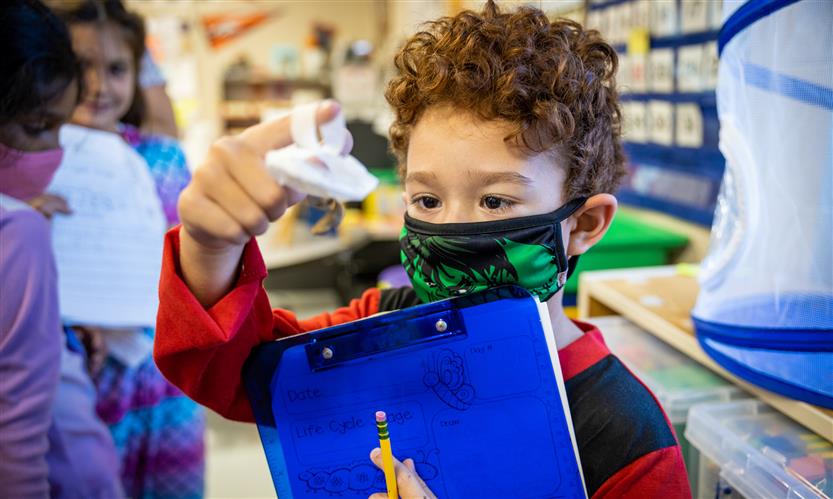 Kenrose Elementary students learn about butterflies